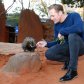 «Тарзан» Александр Скарсгард потискал животных в австралийском зоопарке