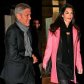До свадьбы Аламуддин и Клуни осталось пять месяцев