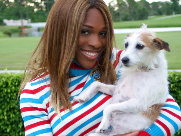 PALM BEACH, FL - MAY 31:  Tennis Player Serena Williams photographed with her dogs, a Staffordshire named Bambi and a Jack Russell named Jackie at her home in Palm Beach, Florida on May 31, 2005. (Photo by Animal Fair Media/Getty Images) 