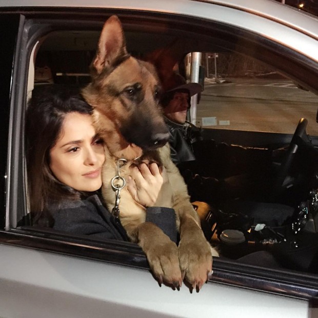 Сальма Хайек с собакой
