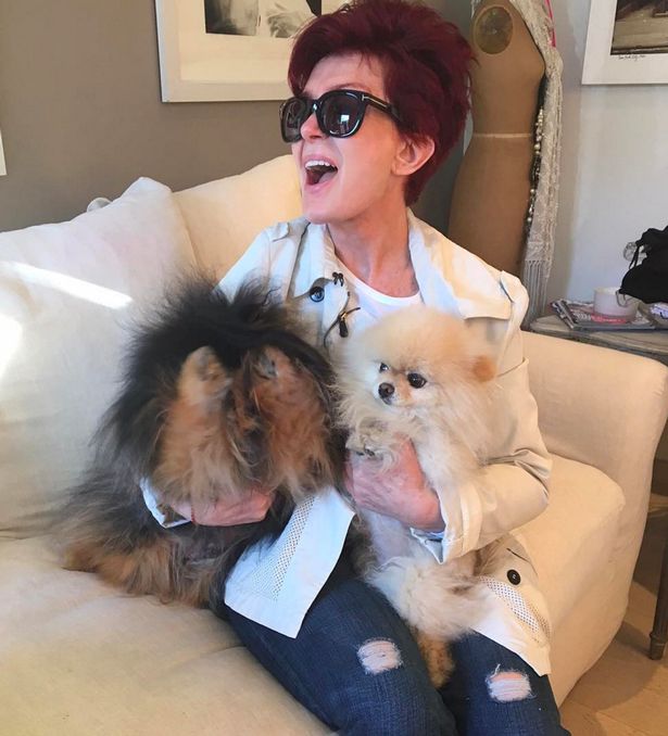 Sharon-Osborne-with-her-dogs-Rocky-left-and-Bella-right