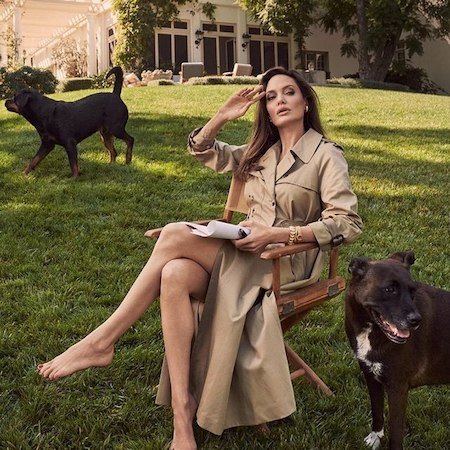 Откровенное интервью Анджелины Джоли: жизнь после развода с Брэдом Питтом