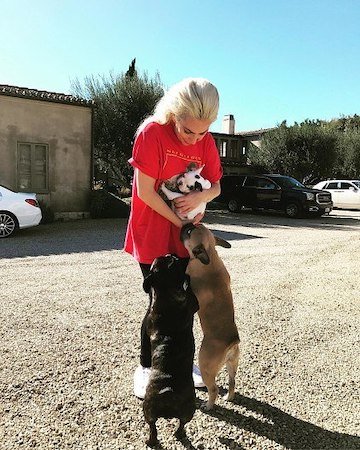 Полиция запретила Леди Гаге выплачивать вознаграждение женщине, которая вернула певице собак