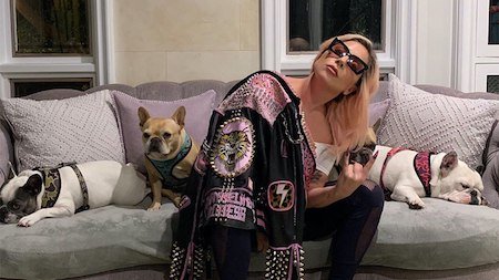 Полиция запретила Леди Гаге выплачивать вознаграждение женщине, которая вернула певице собак