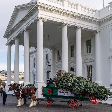 Белый дом готовится к Рождеству: Джилл Байден показала елку, которая украсит поместье - 2