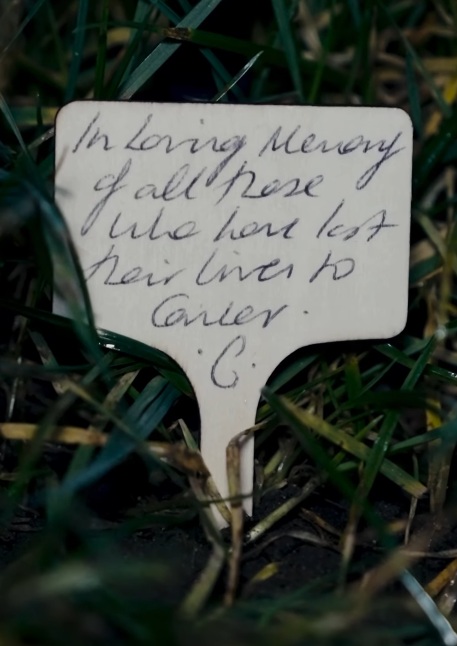 Принцесса Уэльская поддержала благотворительный проект с 30 000 подсвеченных роз - 2 Кейт Миддлтон, принцесса Уэльская