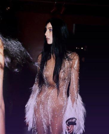 В Денвере открылась DIVA с нарядами Рианны, Леди Гаги и Шер - 1 Шер в прозрачном сверкающем платье с перьями Боба Маки на более раннем публичном выходе
