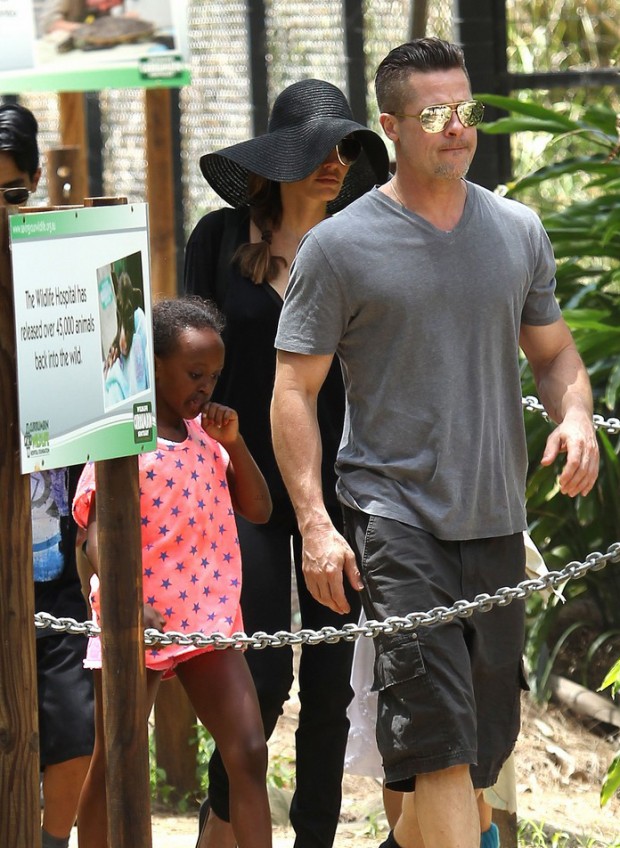 Exclusive - Brad Pitt & Angelina Jolie Take The Kids To Currumbin Wildlife Park In Queensland