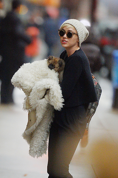 Miley Cyrus seen out for the first time with new dog Moonie