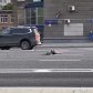 В Москве в ДТП погибла 34-летняя актриса Ксения Добромилова