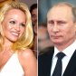 Памела Андерсон хочет личной аудиенции с Владимиром Путиным