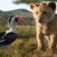 «Король лев» стал самым кассовым мультфильмом в истории кинематографа