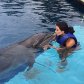 Ким Кардашьян поплатилась за свою любовь к дельфинам