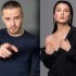 Инсайдеры говорят: у Лиама Пейна роман с дочерью миллионера