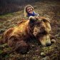 Бывшая Мисс-Канзас обвиняется в убийстве медведя