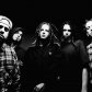 12-летний сын басиста группы Metallica поедет в тур с рок-группой Korn