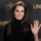 Анджелина Джоли возобновила отношения с бывшим