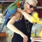 Гвен Стефани купила попугая