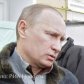 Слухи о болезни Путина не утихают!