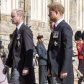 Принц Гарри прилетел на родину, чтобы 1 июля быть на открытии статуи в честь принцессы Дианы