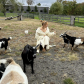Ариана Гранде сыграет роль фермерши, ухаживая за козами