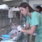 Из чего составляется стоимость лечения в медицинском центре Imedical в Израиле