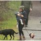 Счастливая Меган Маркл на прогулке с сыном Арчи и собаками